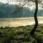 resized_16_api
