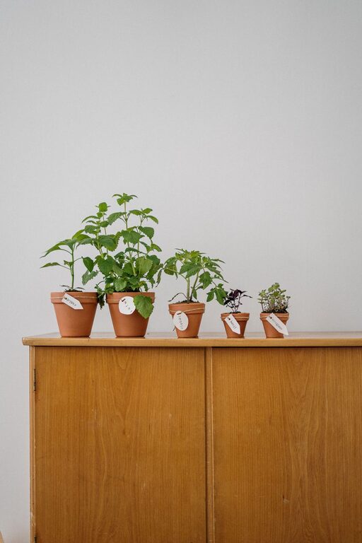 resized_36_api